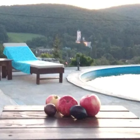 Etno Orman Evi *
